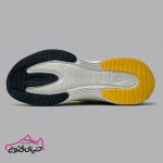 نایک زوم ترا Nike Zoom Terra